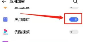 九游娱乐网站：2024vivo应用商店正版(图4)